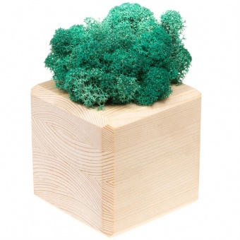 Декоративная композиция GreenBox Wooden Cube, бирюзовый фото 