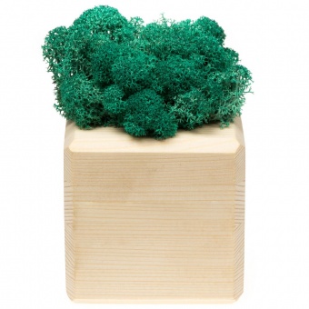 Декоративная композиция GreenBox Wooden Cube, бирюзовый фото 