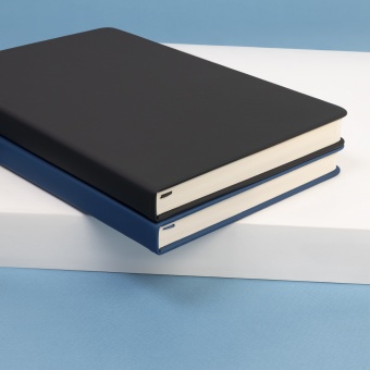 Ежедневник Alpha BtoBook недатированный, синий (без резинки, без упаковки, без стикера) фото 