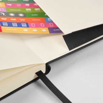 Ежедневник Alpha недатированный, черный/бежевый фото 