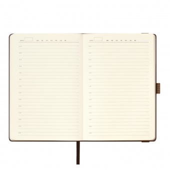 Ежедневник Alpha недатированный, коричневый/бежевый фото 