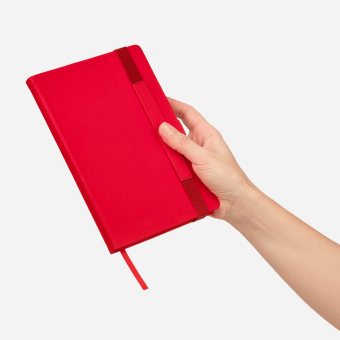 Ежедневник Alpha недатированный, красный/серый фото 