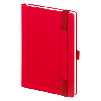 Ежедневник Alpha недатированный, красный/серый фото 