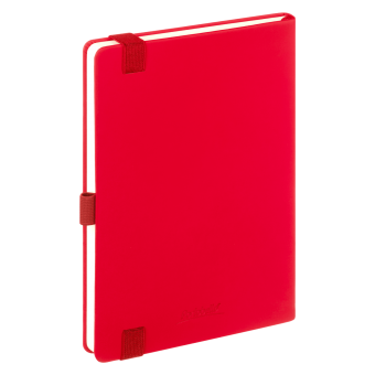 Ежедневник Alpha недатированный, красный/серый фото 