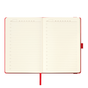 Ежедневник Alpha недатированный, красный/серый фото 