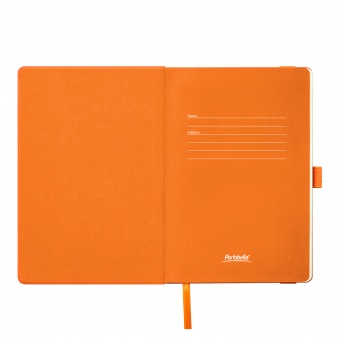 Ежедневник Alpha недатированный, оранжевый/оранжевый фото 