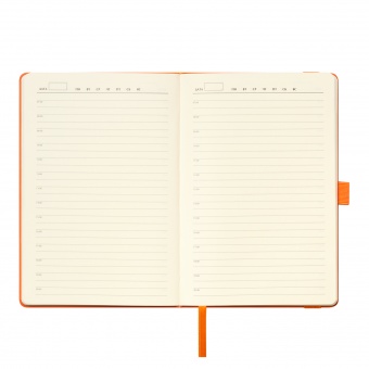 Ежедневник Alpha недатированный, оранжевый/оранжевый фото 