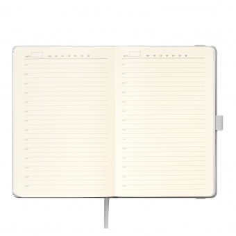 Ежедневник Alpha недатированный, серебро/серый фото 