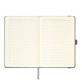 Ежедневник Alpha недатированный, серый/бирюзовый фото 