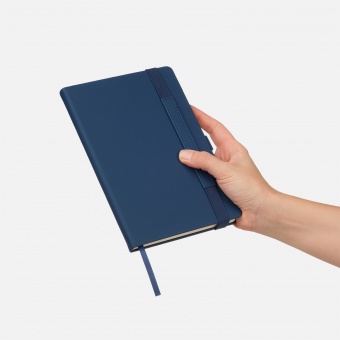 Ежедневник Alpha недатированный, синий/голубой фото 