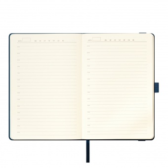 Ежедневник Alpha недатированный, синий/голубой фото 