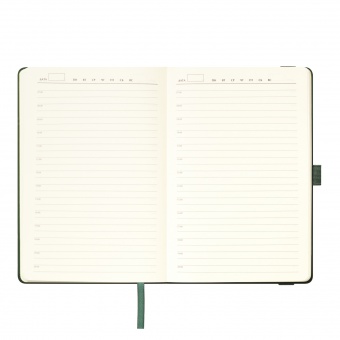 Ежедневник Alpha недатированный, зеленый/оливковый фото 