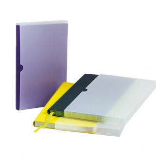 Ежедневник Arctic недатированный, белый/черный фото 