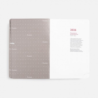 Ежедневник Faro, датированный, бордовый фото 