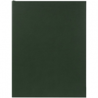 Ежедневник Flat Maxi, недатированный, зеленый фото 