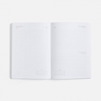 Ежедневник Flex Shall, датированный, серый фото 