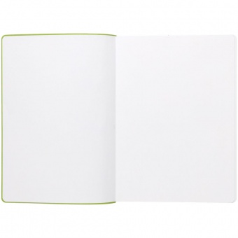 Ежедневник Flexpen, недатированный, серебристо-зеленый фото 
