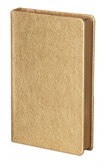 Ежедневник Ingot, недатированный, золотистый фото 