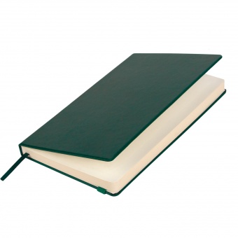 Ежедневник Voyage BtoBook недатированный, зеленый (без упаковки, без стикера) фото 
