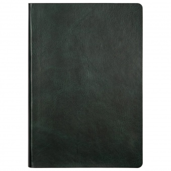 Ежедневник недатированный, Portobello Trend, River side, 145х210, 256 стр, зеленый/бургунди, светлый срез, светлый форзац фото 