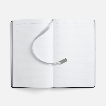 Ежедневник Petrus, недатированный, красный фото 