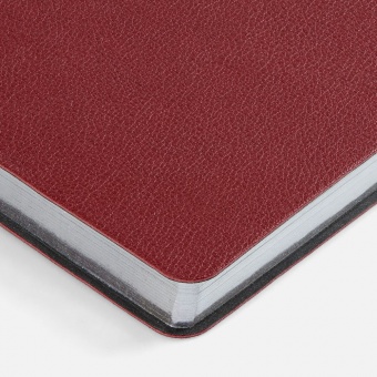 Ежедневник Petrus, недатированный, красный фото 