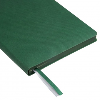 Ежедневник Rain недатированный, зеленый фото 