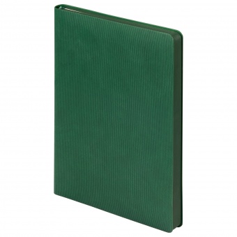 Ежедневник Rain недатированный, зеленый фото 