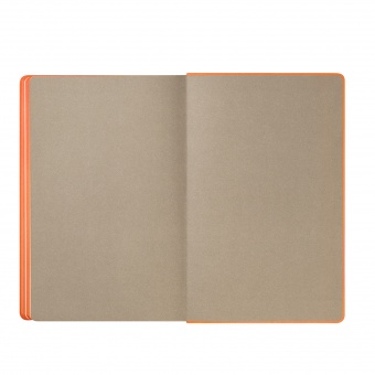 Ежедневник Rain недатированный, оранжевый (без упаковки, без стикера) фото 