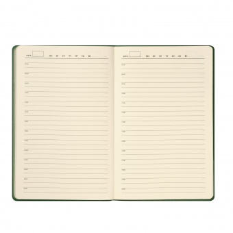 Ежедневник Rain недатированный, зеленый фото 