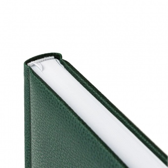 Ежедневник Sagrin, недатированный, зеленый фото 