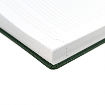 Ежедневник Sagrin, недатированный, зеленый фото 