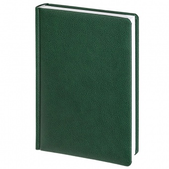 Ежедневник Sagrin, недатированный, зеленый фото 