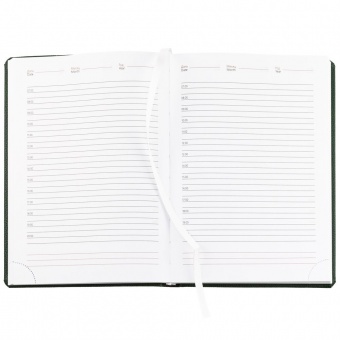 Ежедневник Sagrin, недатированный, зеленый фото 