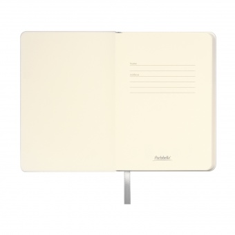 Ежедневник Spark mini A6 недатированный, серебряный фото 