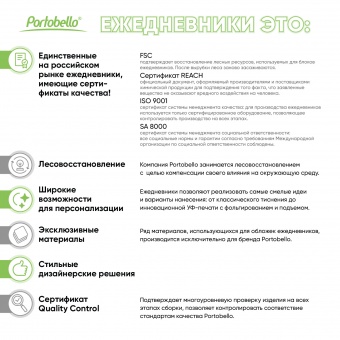 Ежедневник Spark mini A6 недатированный, серебряный фото 