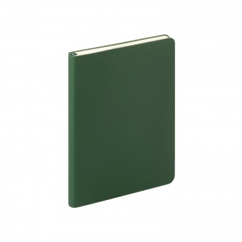 Ежедневник Spark mini A6 недатированный, зеленый фото 