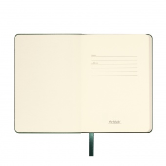 Ежедневник Spark mini A6 недатированный, зеленый фото 