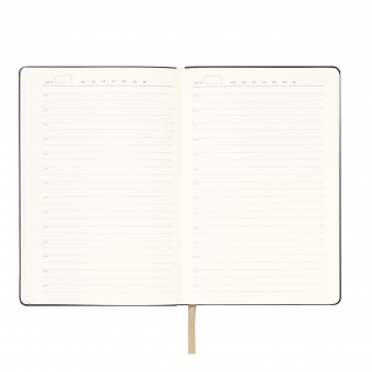 Ежедневник Spark недатированный, белое золото (без упаковки, без стикера) фото 