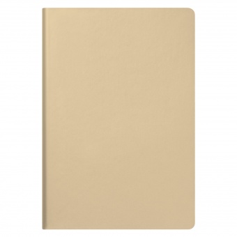 Ежедневник Spark недатированный, белое золото (без упаковки, без стикера) фото 