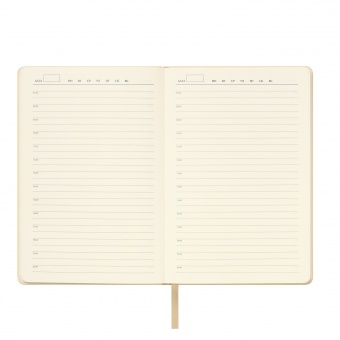 Ежедневник Spark недатированный, белое золото (с упаковкой, со стикерами) фото 