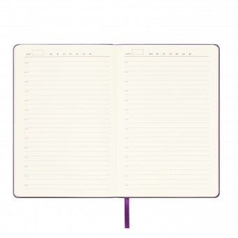 Ежедневник Spark недатированный, фиолетовый (без упаковки, без стикера) фото 