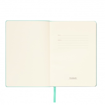 Ежедневник Spark недатированный, мятный (с упаковкой, со стикерами) фото 