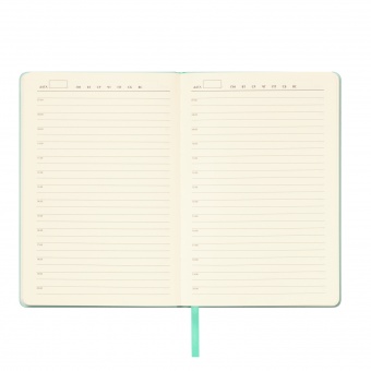 Ежедневник Spark недатированный, мятный (с упаковкой, со стикерами) фото 