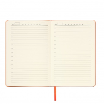 Ежедневник Spark недатированный, оранжевый (с упаковкой, со стикерами) фото 