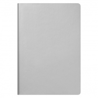 Ежедневник Spark недатированный, серебряный (без упаковки, без стикера) фото 