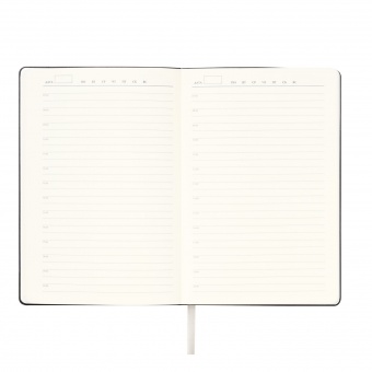 Ежедневник Spark недатированный, серебряный (без упаковки, без стикера) фото 