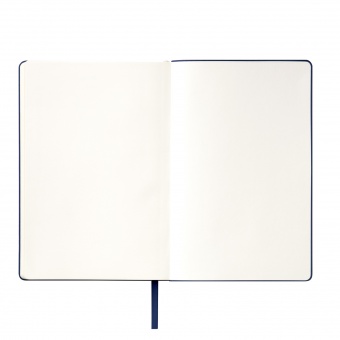 Ежедневник Spark недатированный, синий (без упаковки, без стикера) фото 