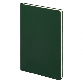 Ежедневник Spark недатированный, зеленый (без упаковки, без стикера) фото 