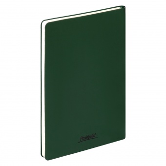Ежедневник Spark недатированный, зеленый (без упаковки, без стикера) фото 
